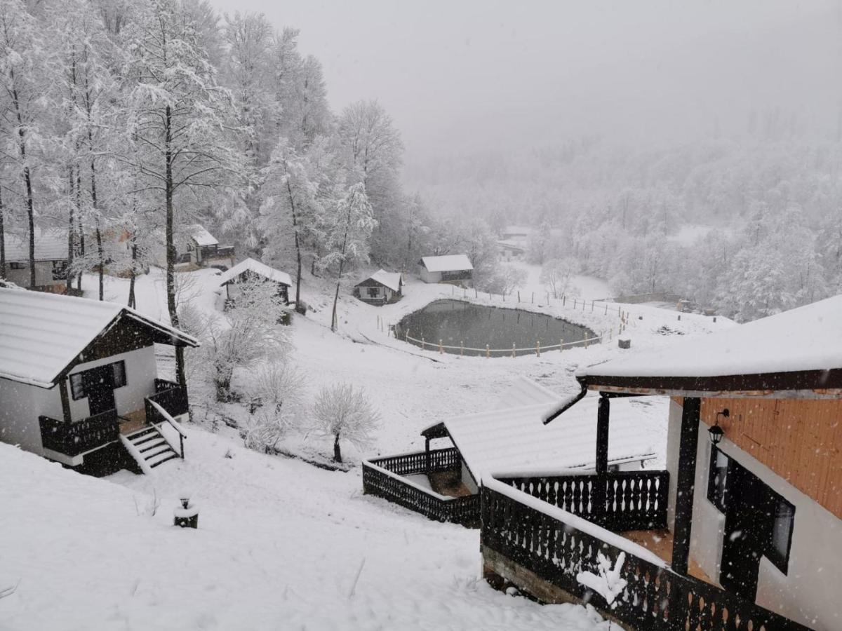 Satu Muscelean Hotel Albestii de Muscel Buitenkant foto